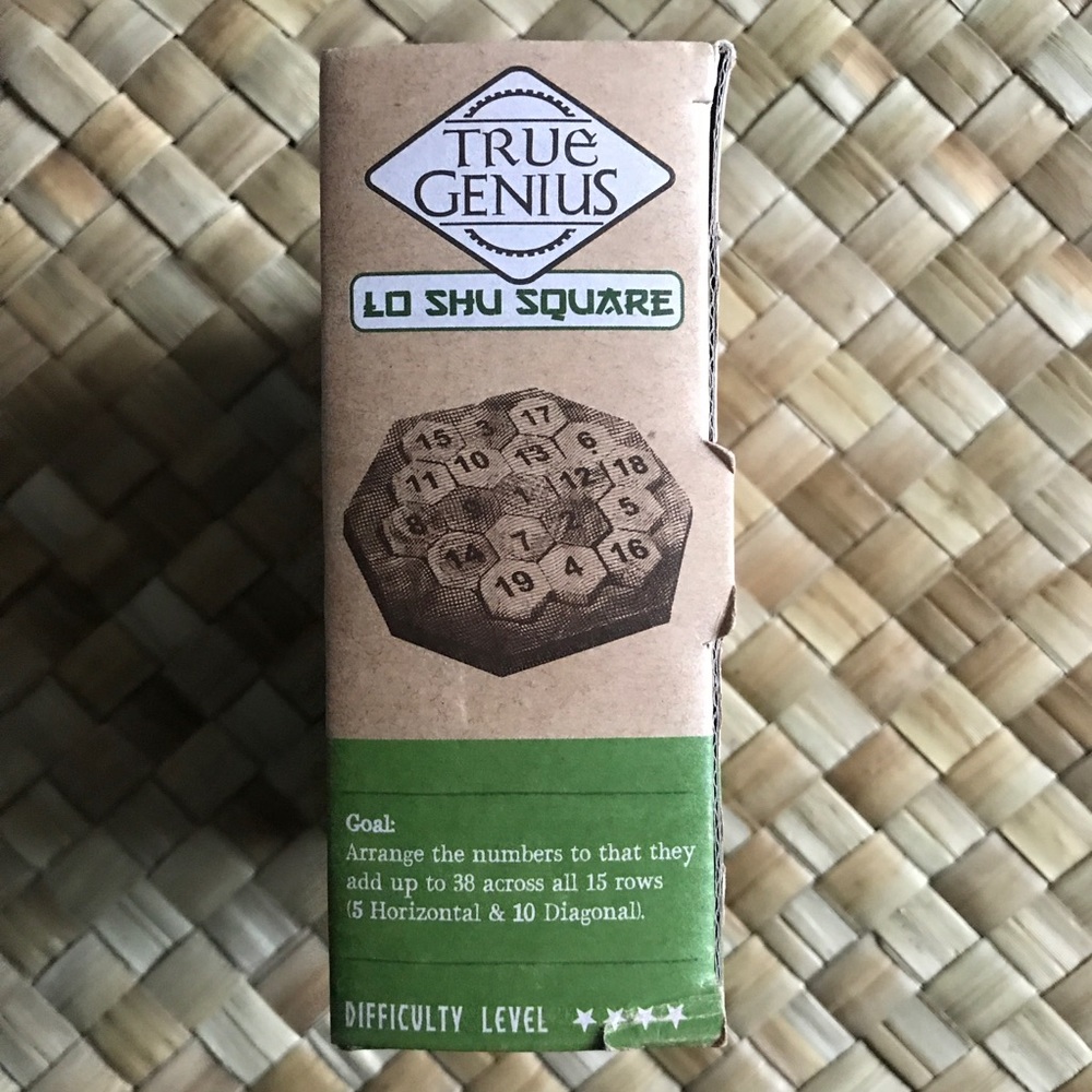 True Genuis | Lo Shu Square | Math Puzzle - Picture 5 of 7